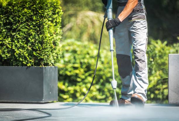 Animal Enclosure Cleaning in Moa, UT